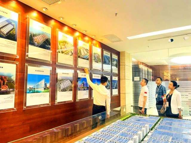 沧州电熔镁菱镁交易平台排行榜